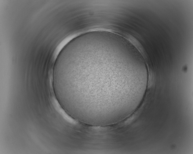 X0000114130812200910151543