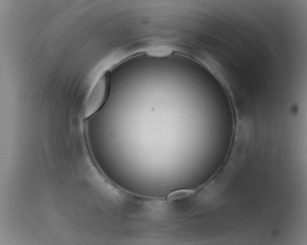 X0000114130813200910151543