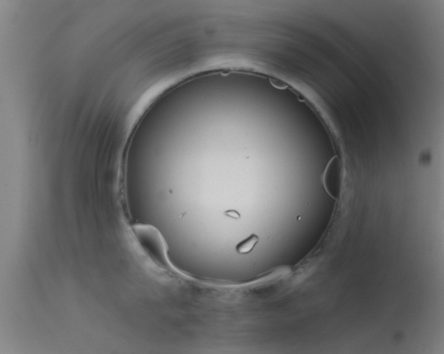 X0000114130815200910151543