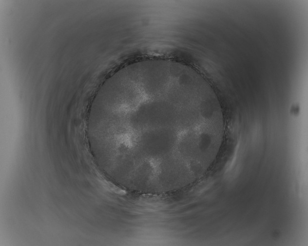 X0000114130817200910151543