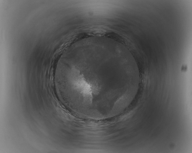 X0000114130818200910151543