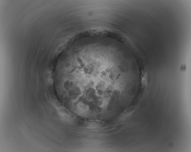 X0000114130819200910151543