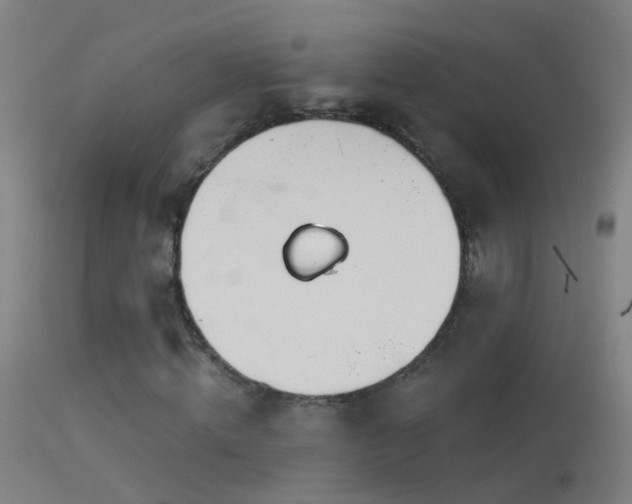 X0000114130820200910151543