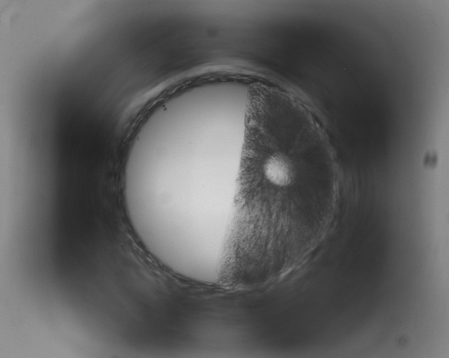 X0000114130822200910151543