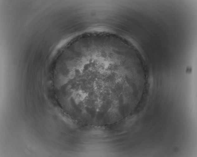 X0000114130823200910151543