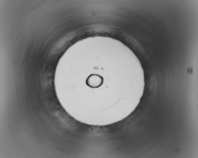 X0000114130824200910151543