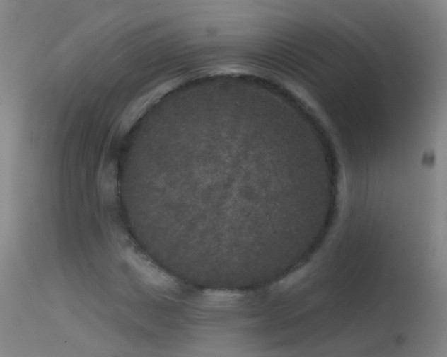 X0000114130825200910151543