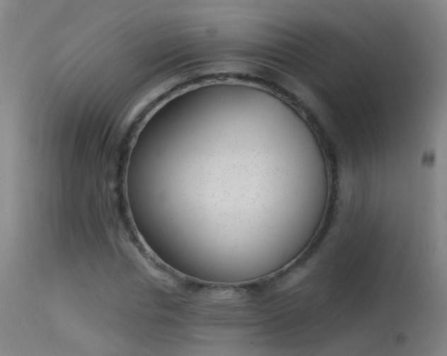 X0000114130826200910151543