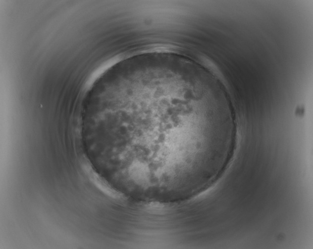 X0000114130827200910151543