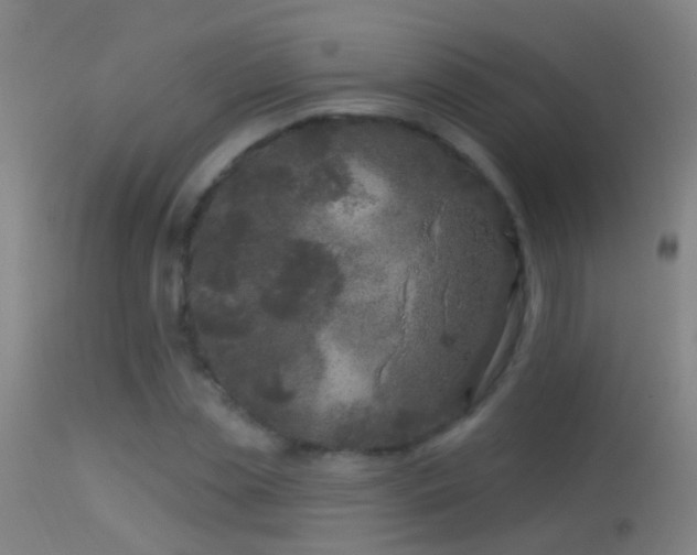 X0000114130829200910151543