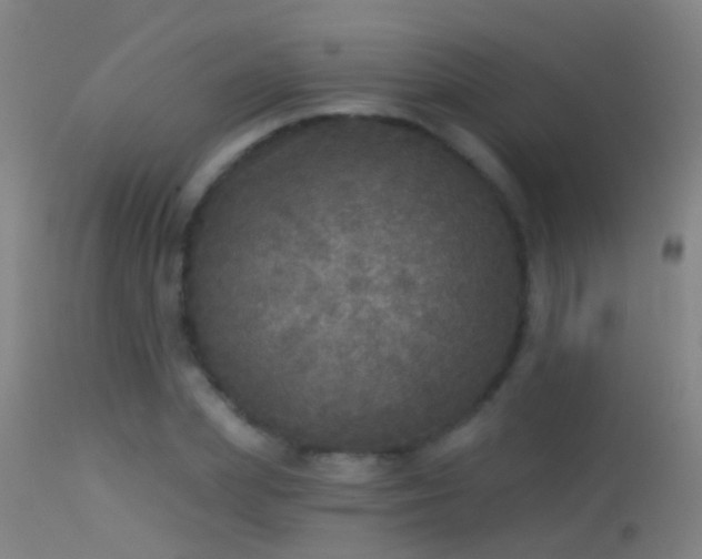 X0000114130831200910151543