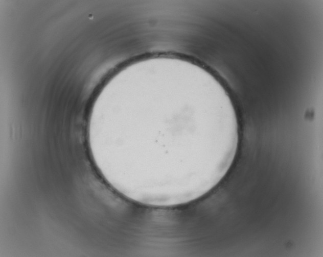 X0000114130832200910151543