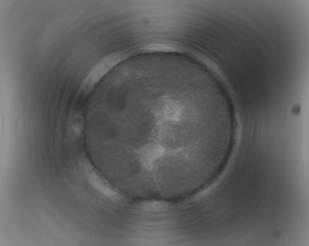 X0000114130833200910151543