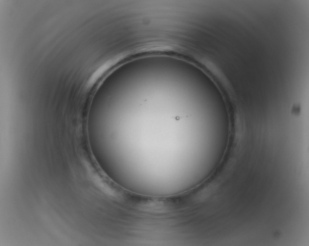 X0000114130834200910151543