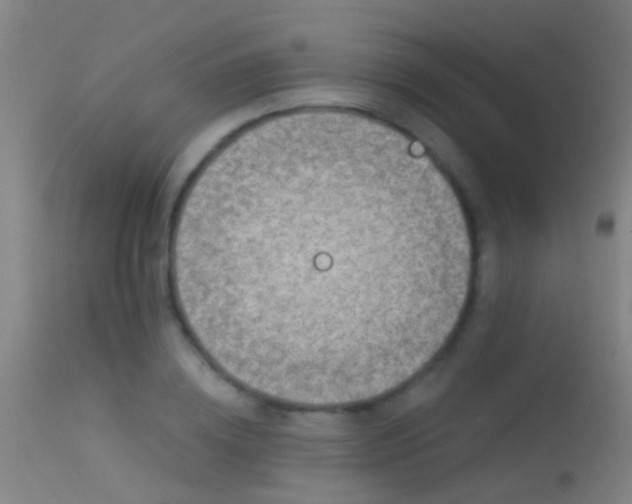 X0000114130836200910151543