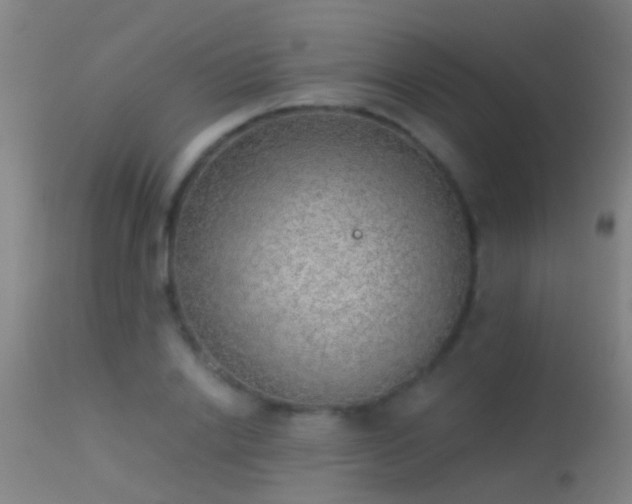 X0000114130838200910151543