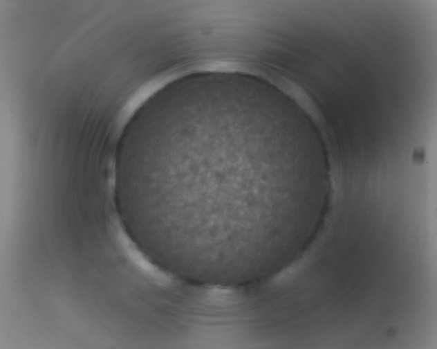 X0000114130839200910151543