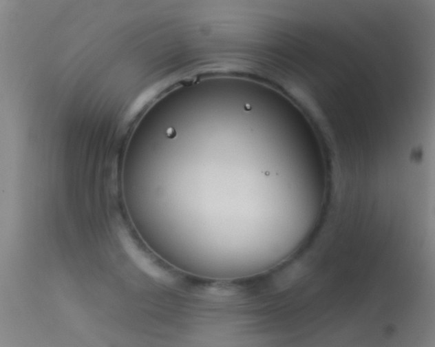 X0000114130842200910151543