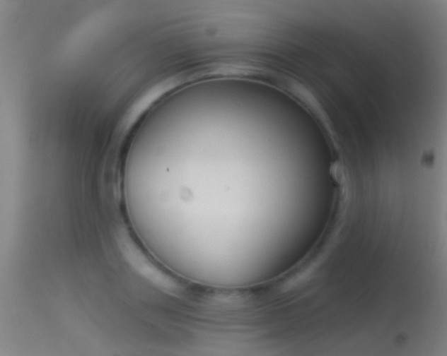 X0000114130843200910151543