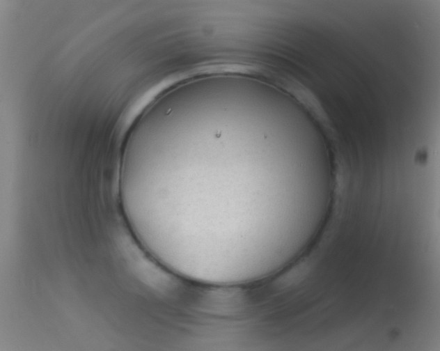 X0000114130844200910151543