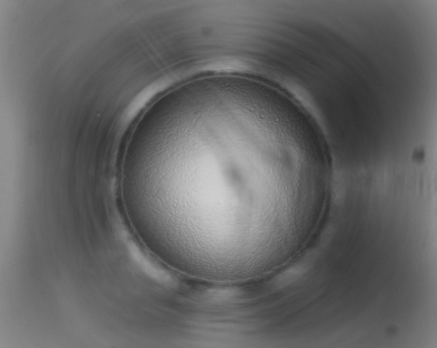 X0000114130845200910151543