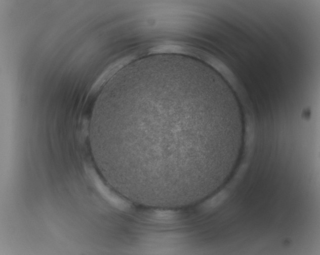 X0000114130849200910151543