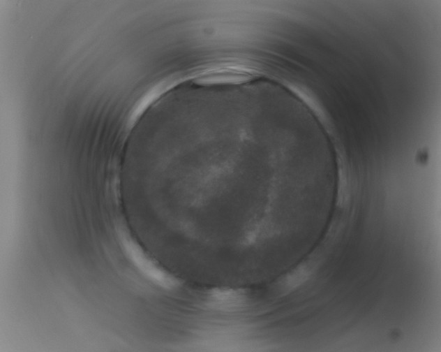 X0000114130850200910151543