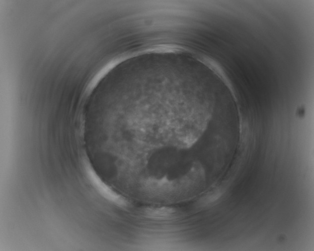 X0000114130851200910151543