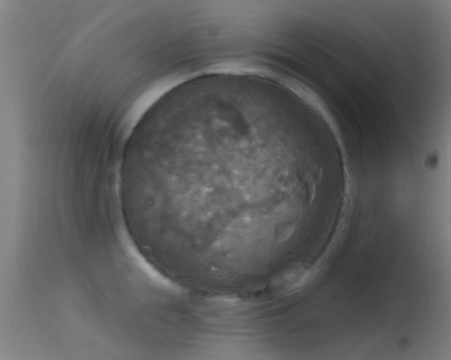 X0000114130855200910151543