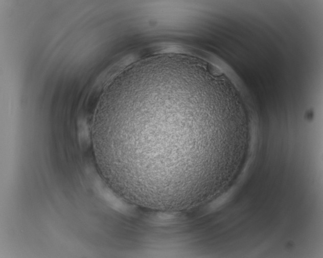 X0000114130857200910151543