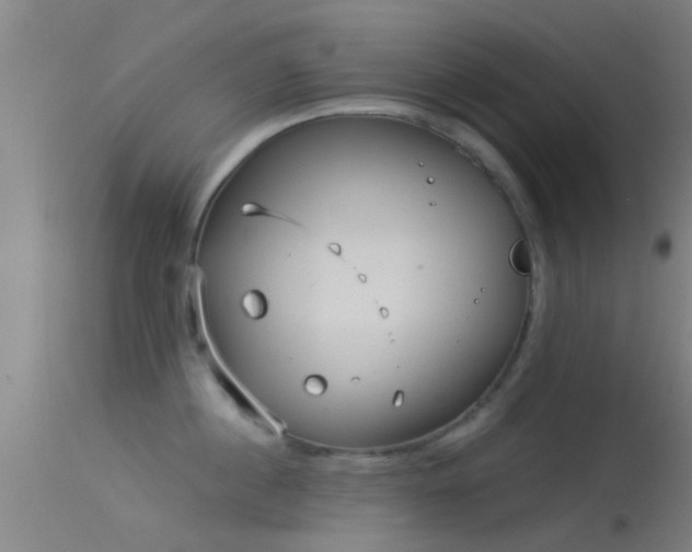 X0000114130860200910151543