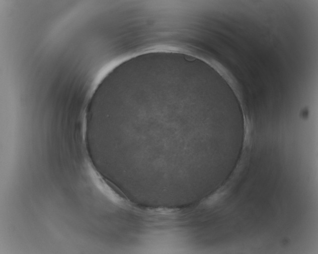 X0000114130862200910151543