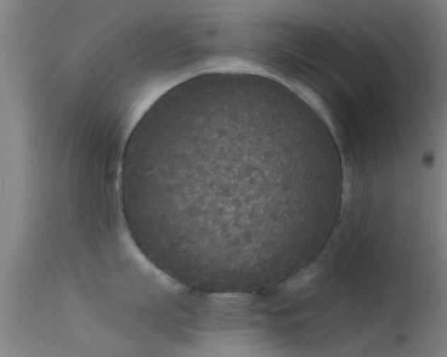 X0000114130863200910151543