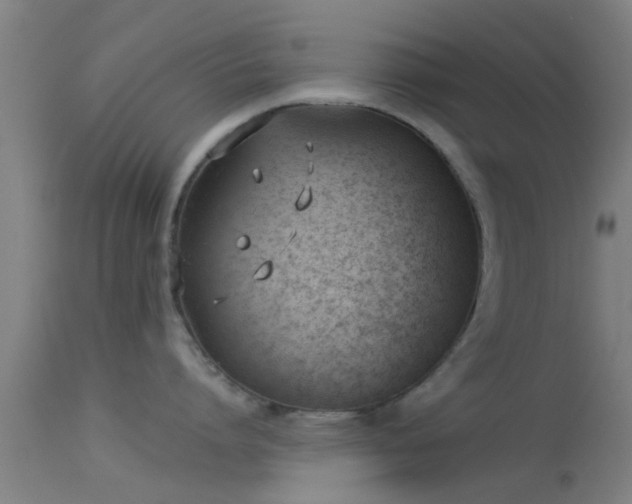 X0000114130864200910151543