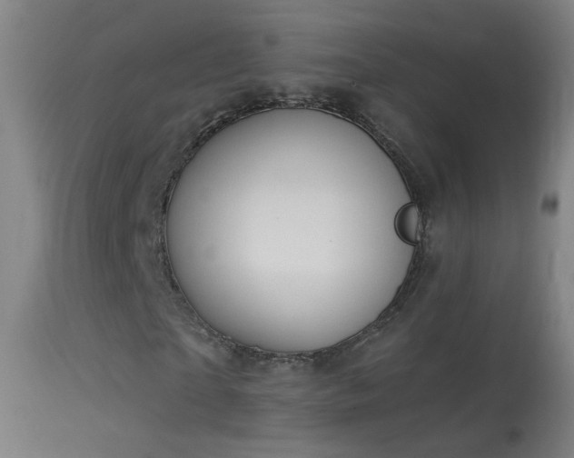 X0000114130865200910151543