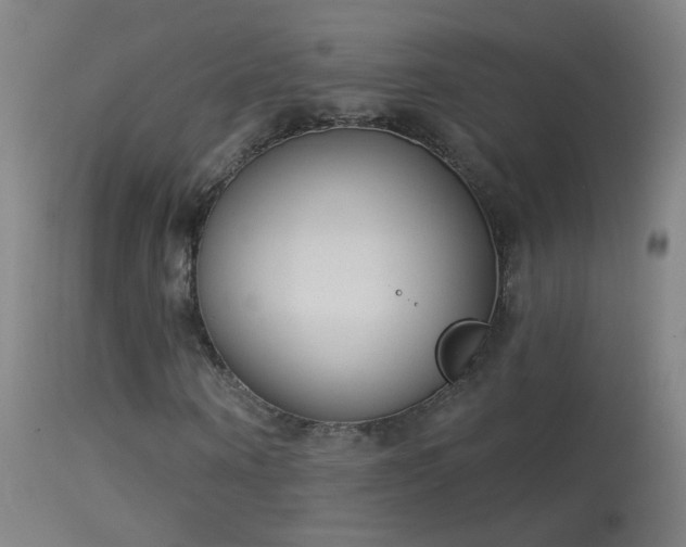 X0000114130866200910151543