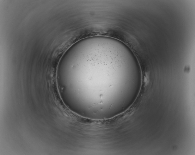 X0000114130867200910151543