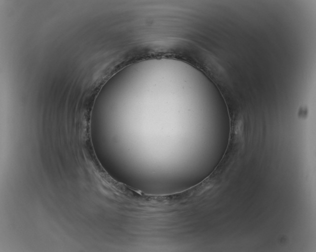 X0000114130868200910151543