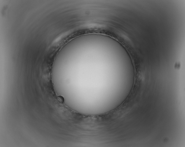 X0000114130869200910151543