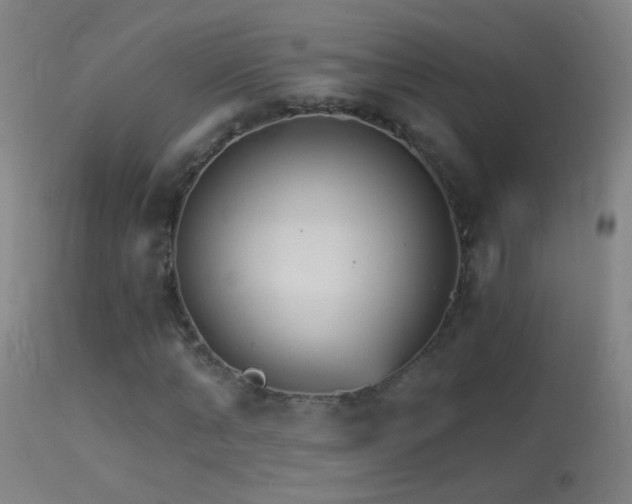 X0000114130870200910151543