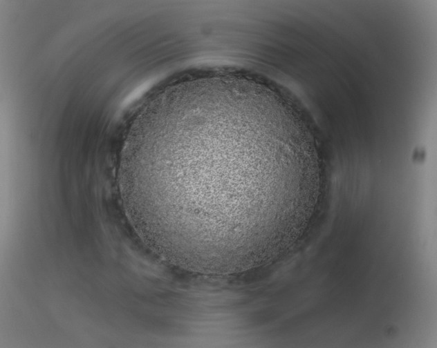 X0000114130871200910151543