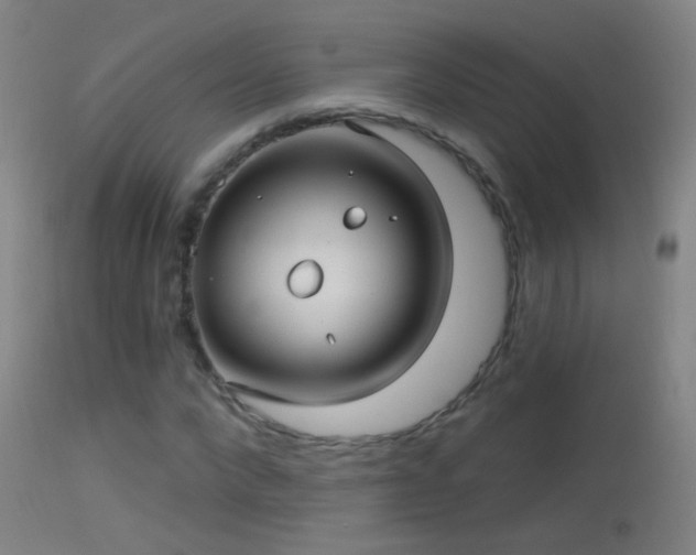 X0000114130872200910151543