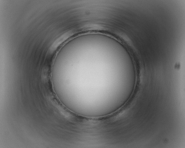 X0000114130873200910151543