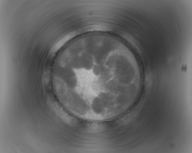 X0000114130874200910151543