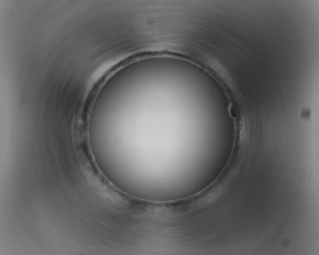 X0000114130876200910151542