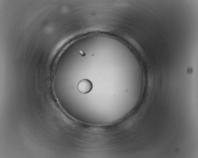 X0000114130878200910151542