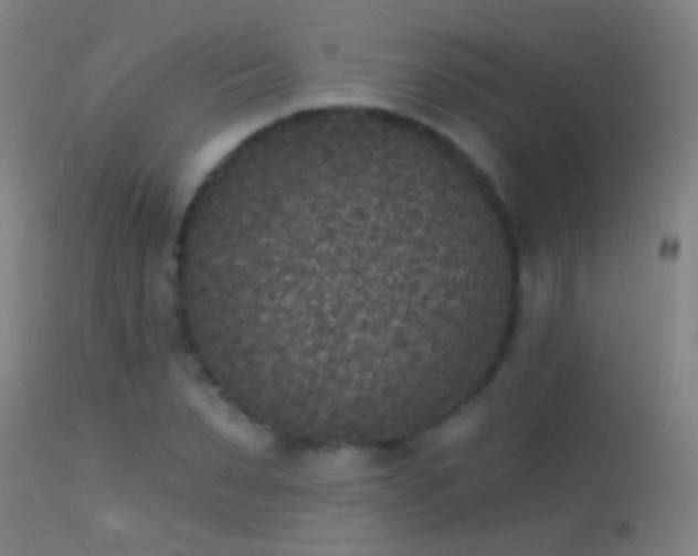 X0000114130879200910151542