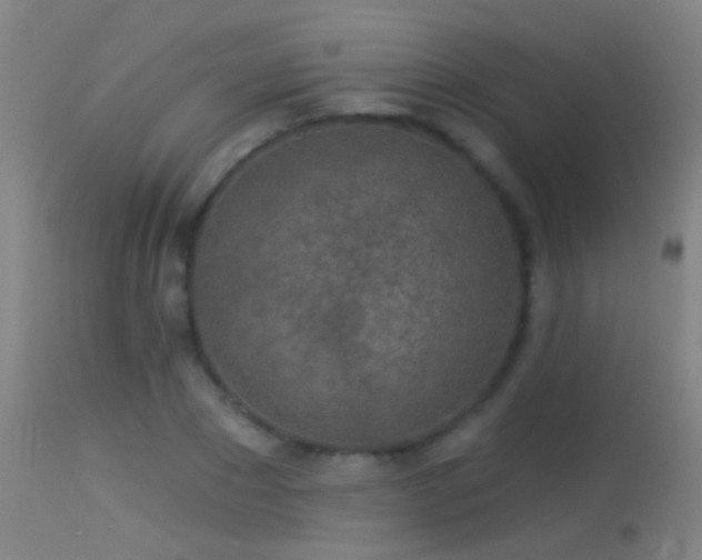 X0000114130881200910151542