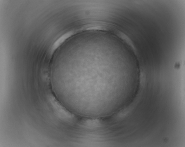 X0000114130882200910151542