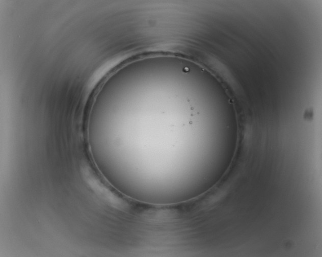 X0000114130884200910151542